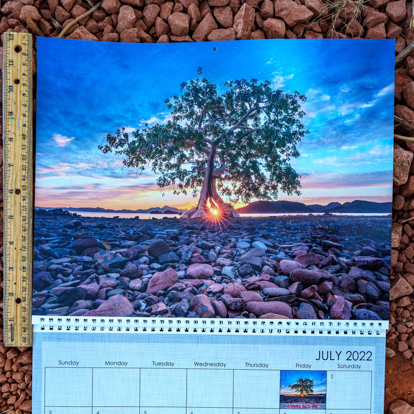 10 Calendar Mega Special
